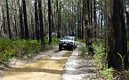 16-Laurie did get to do some 4WDing through some bog holes